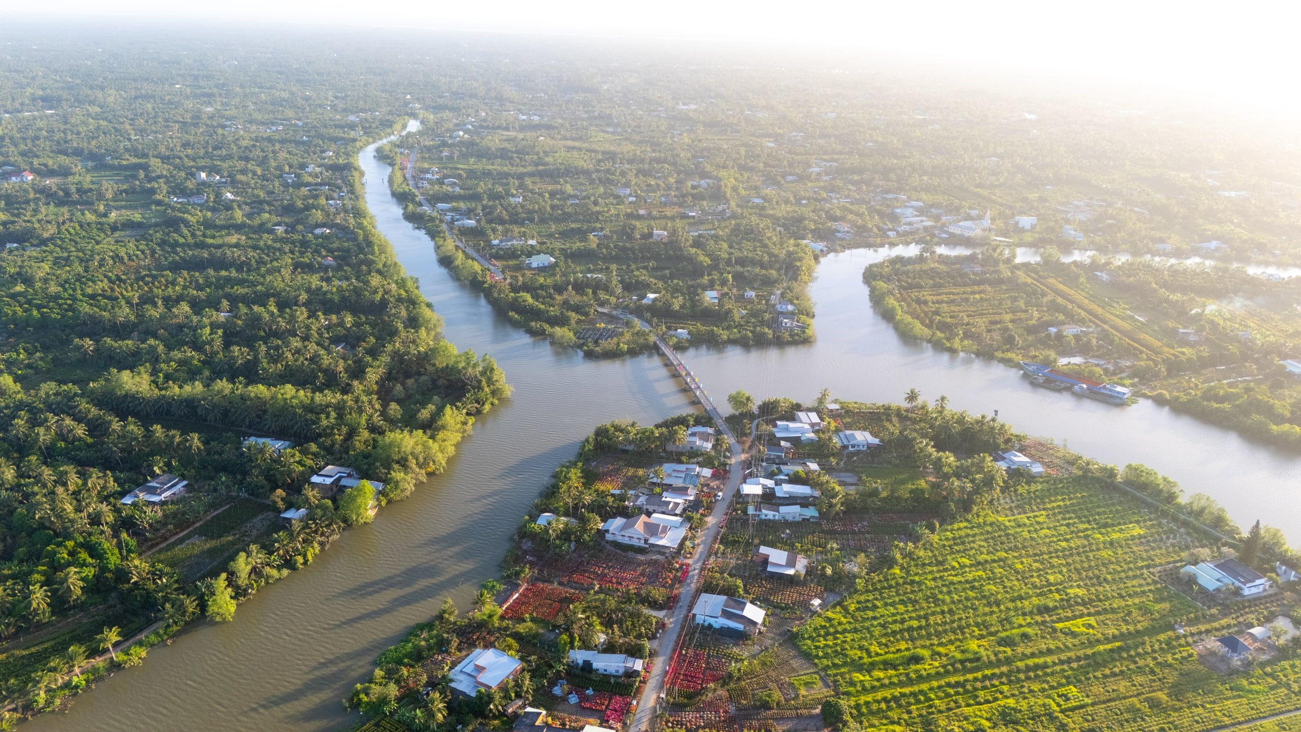 Canals winding between orchards and coconut palms in the delta, seen from the air