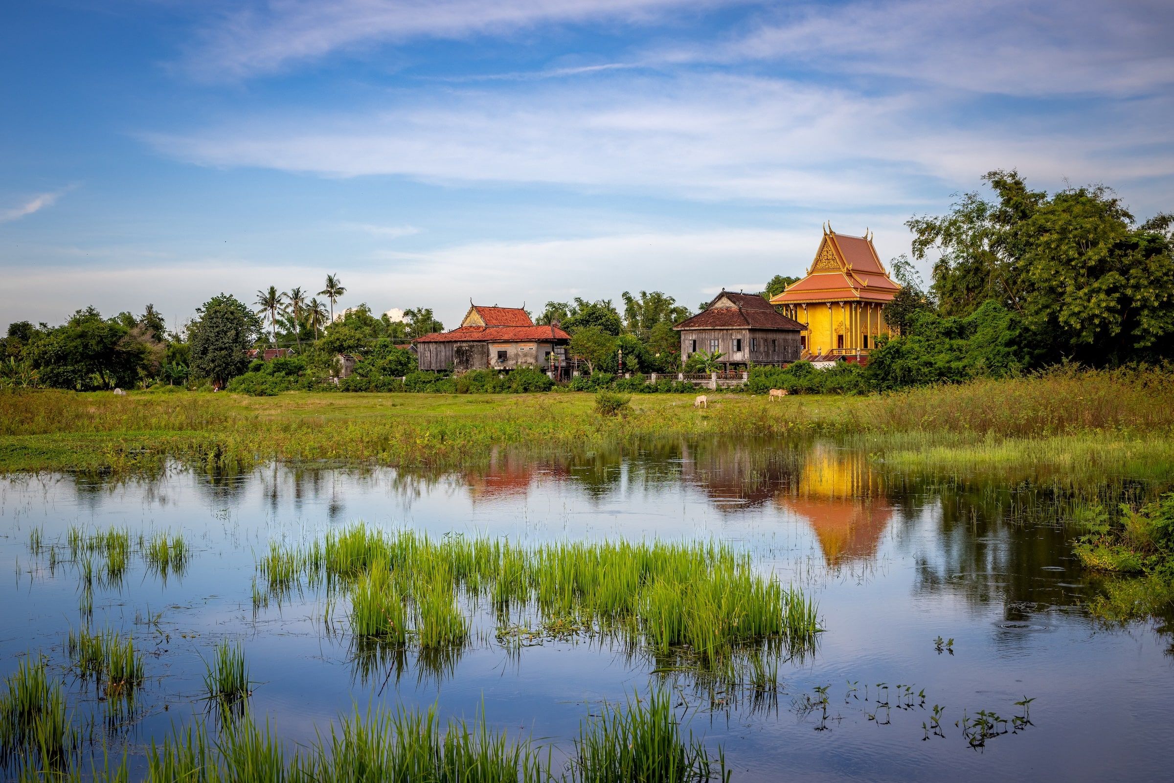 Koh Trong island, across from Kratie: wooden stilt houses and a Khmer pagoda beyond a flooded rice field