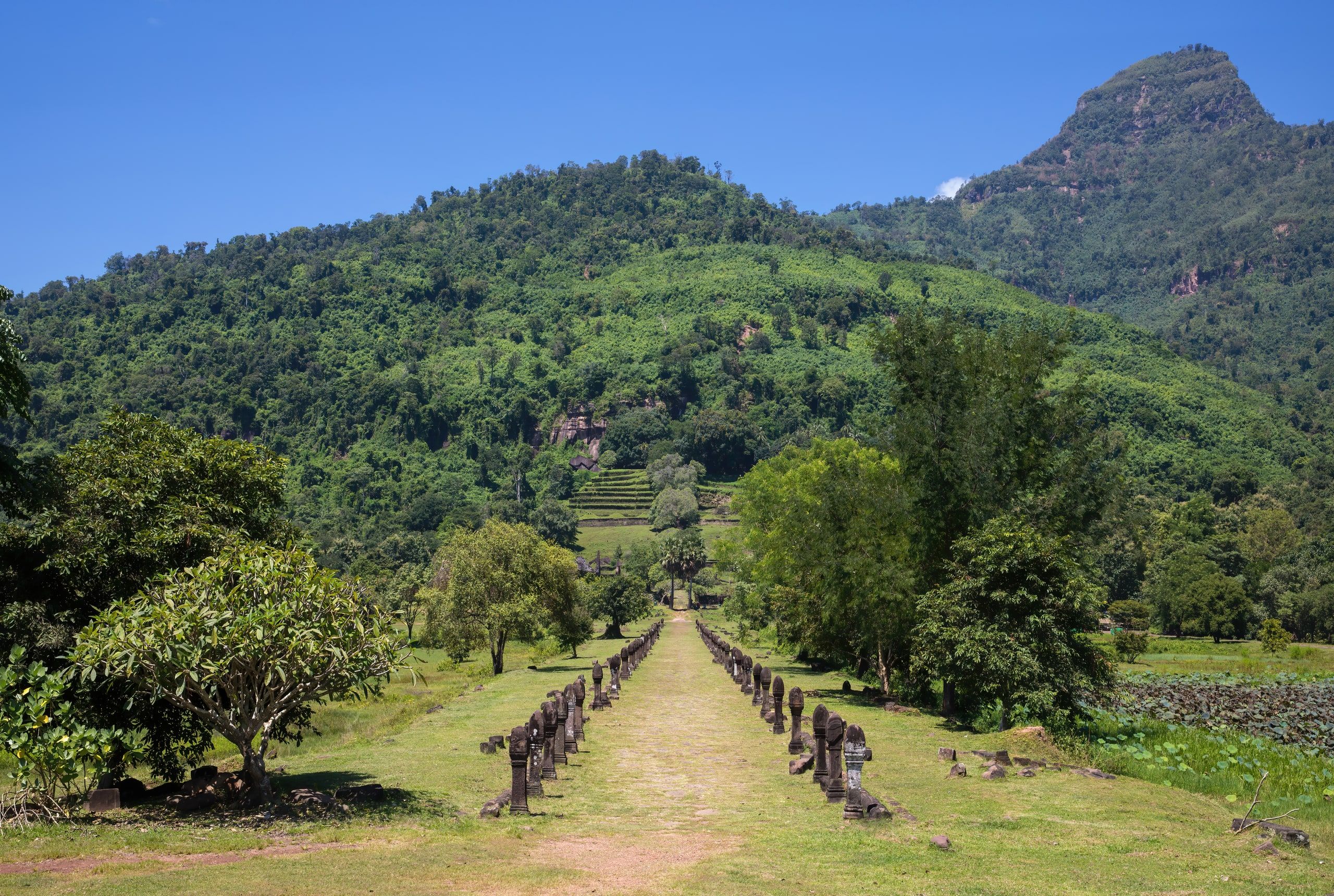 The path lined with stone posts leading up to Vat Phou, at the foot of Phou Kao