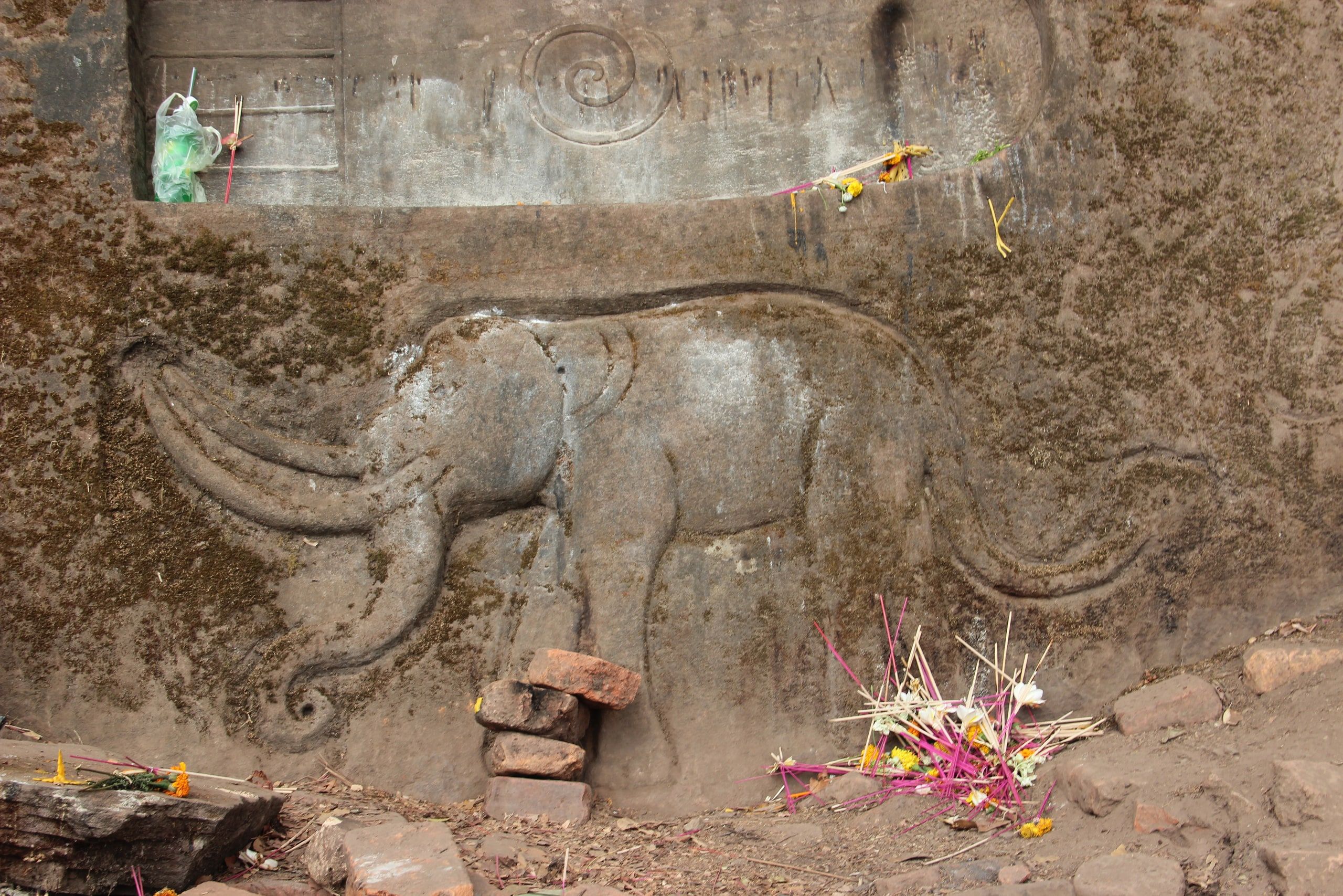 The elephant carved in the rock at Vat Phou, surrounded by offerings