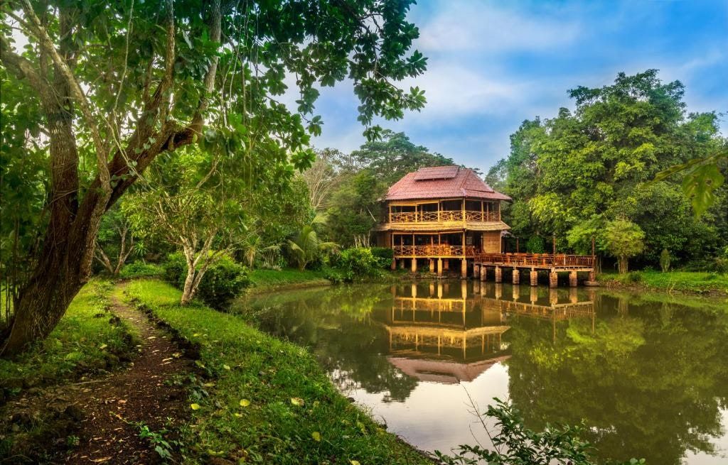 The wooden pavilion of Kingfisher Ecolodge by a pond, among the trees