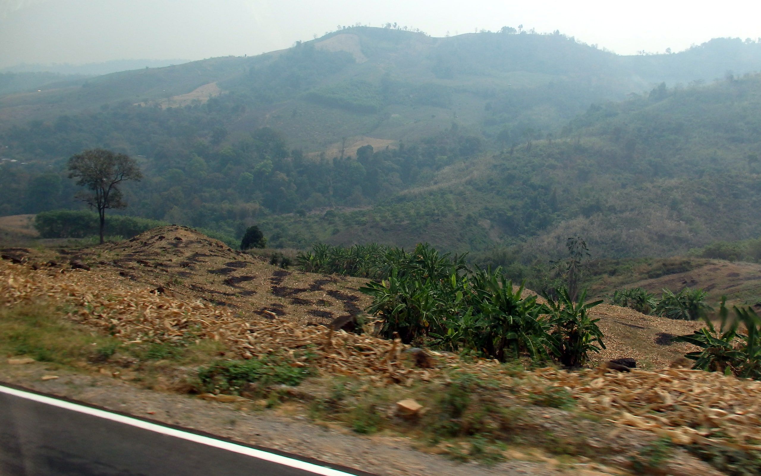 Les collines du district de Chiang Khong dans la brume de saison sèche