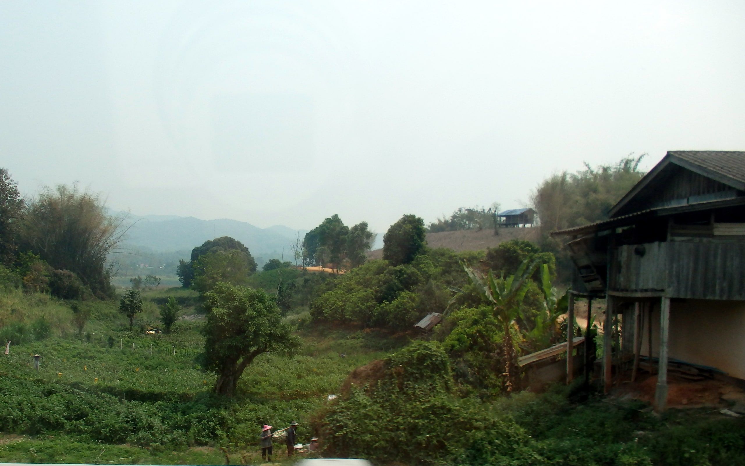 Houses and gardens in the mist on the heights of Chiang Khong