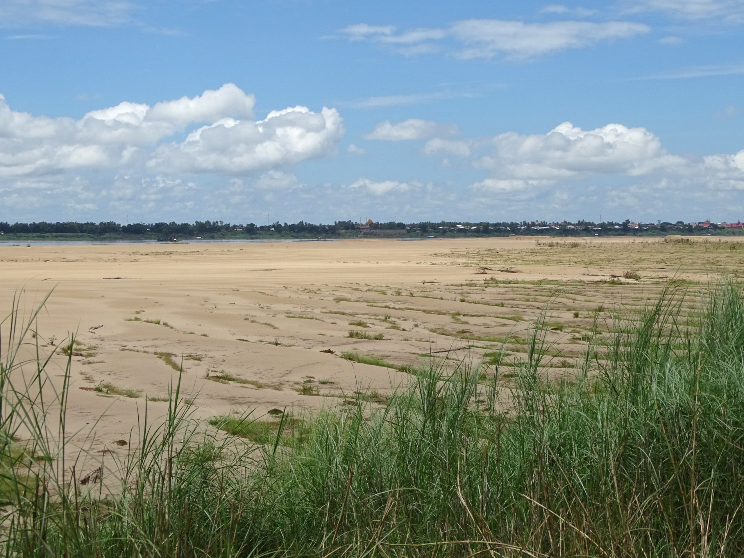 A sandbank and grasses on the Koh Trong shore in the dry season