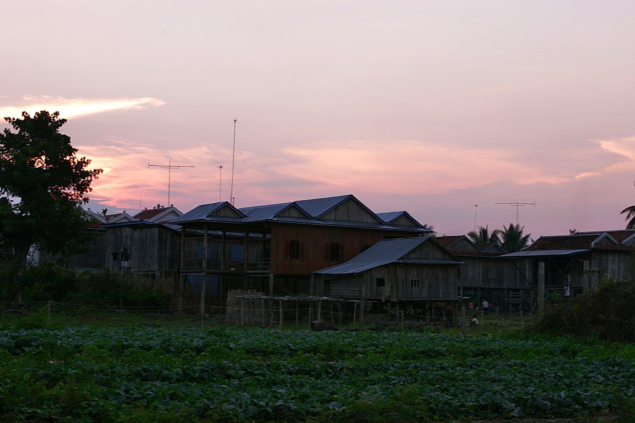 Stilt houses on the edge of Kratie at dusk