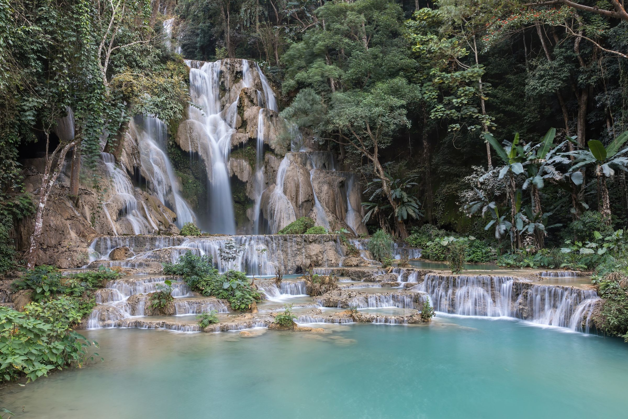 La cascade principale de Kuang Si tombe dans la forêt, au-dessus de paliers calcaires et d'une vasque turquoise