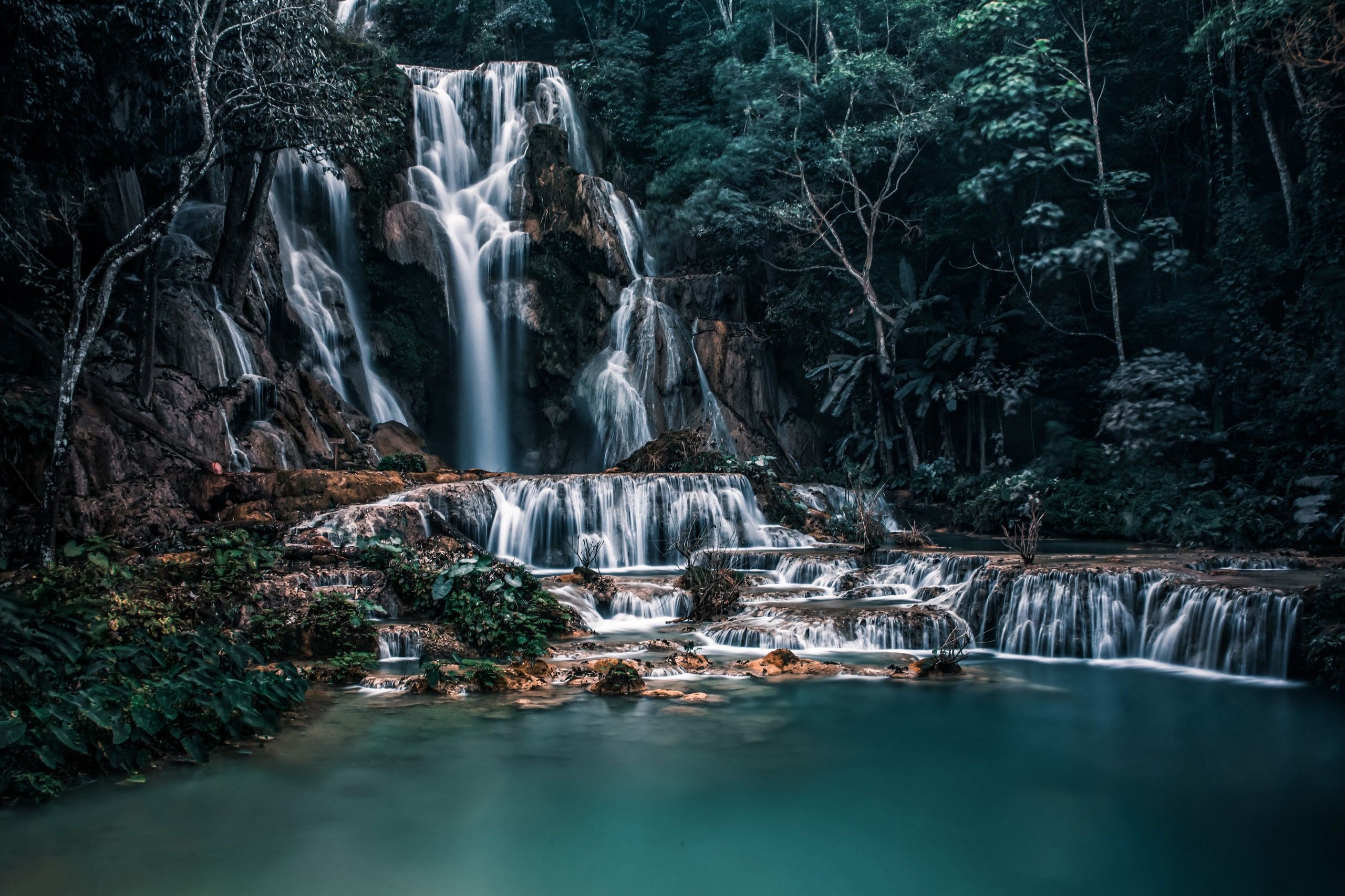 Les chutes de Kuang Si dévalent les rochers dans la forêt