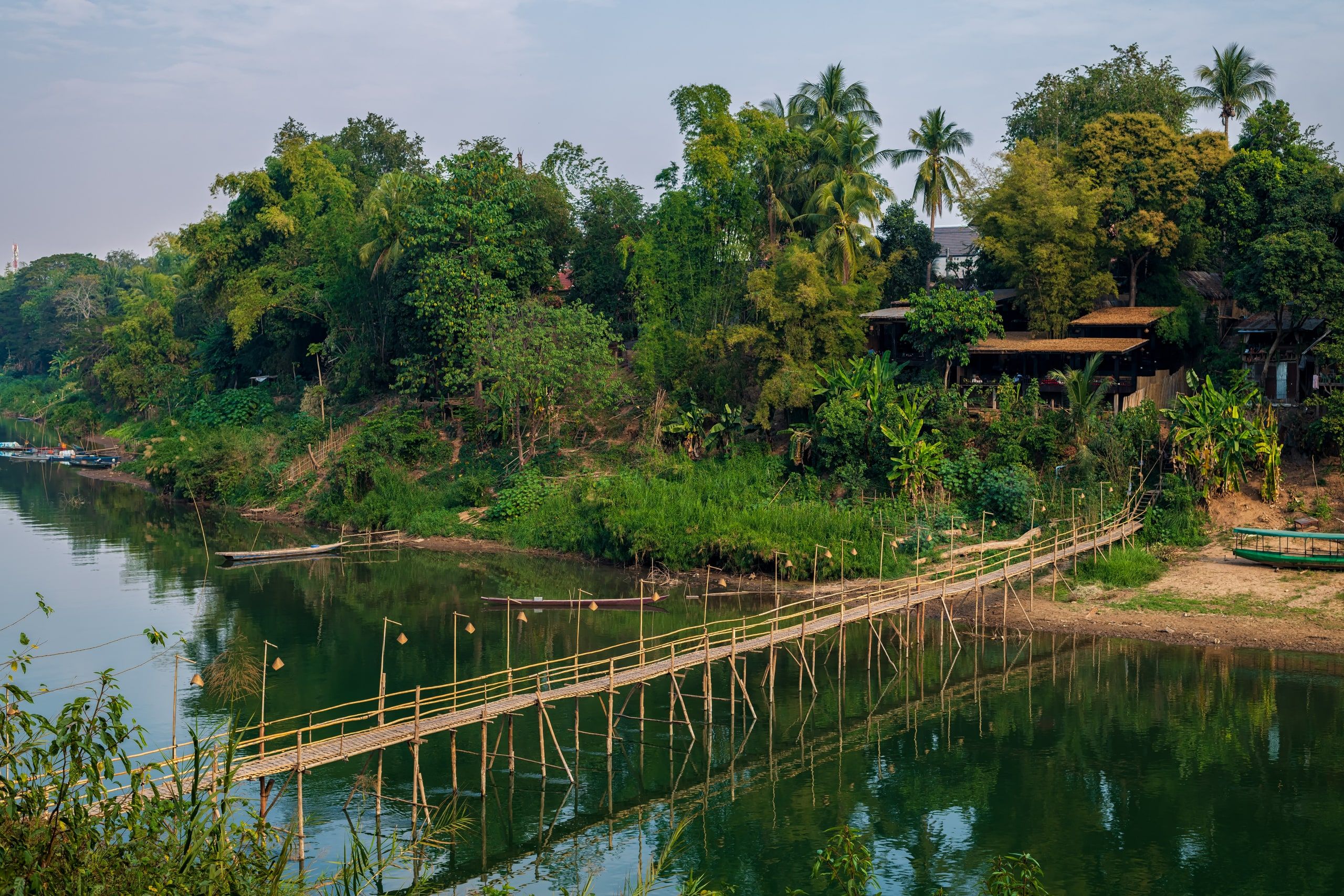 The bamboo bridge on stilts across the Nam Khan, below a wooded bank