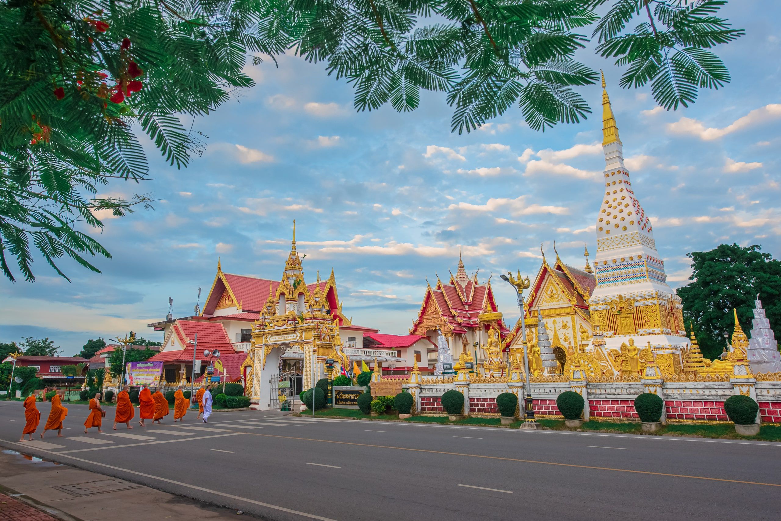 Des moines en robe orange devant le Wat Mahathat, sous les branches d'un arbre