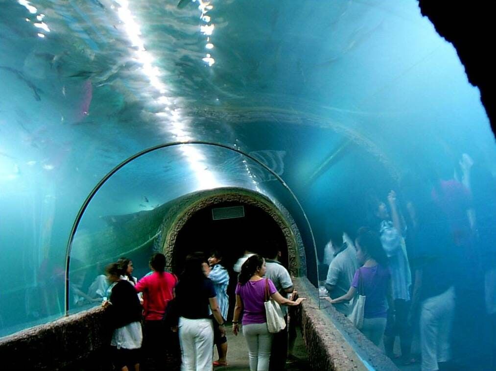 The tunnel through the giant tank at the Nong Khai aquarium
