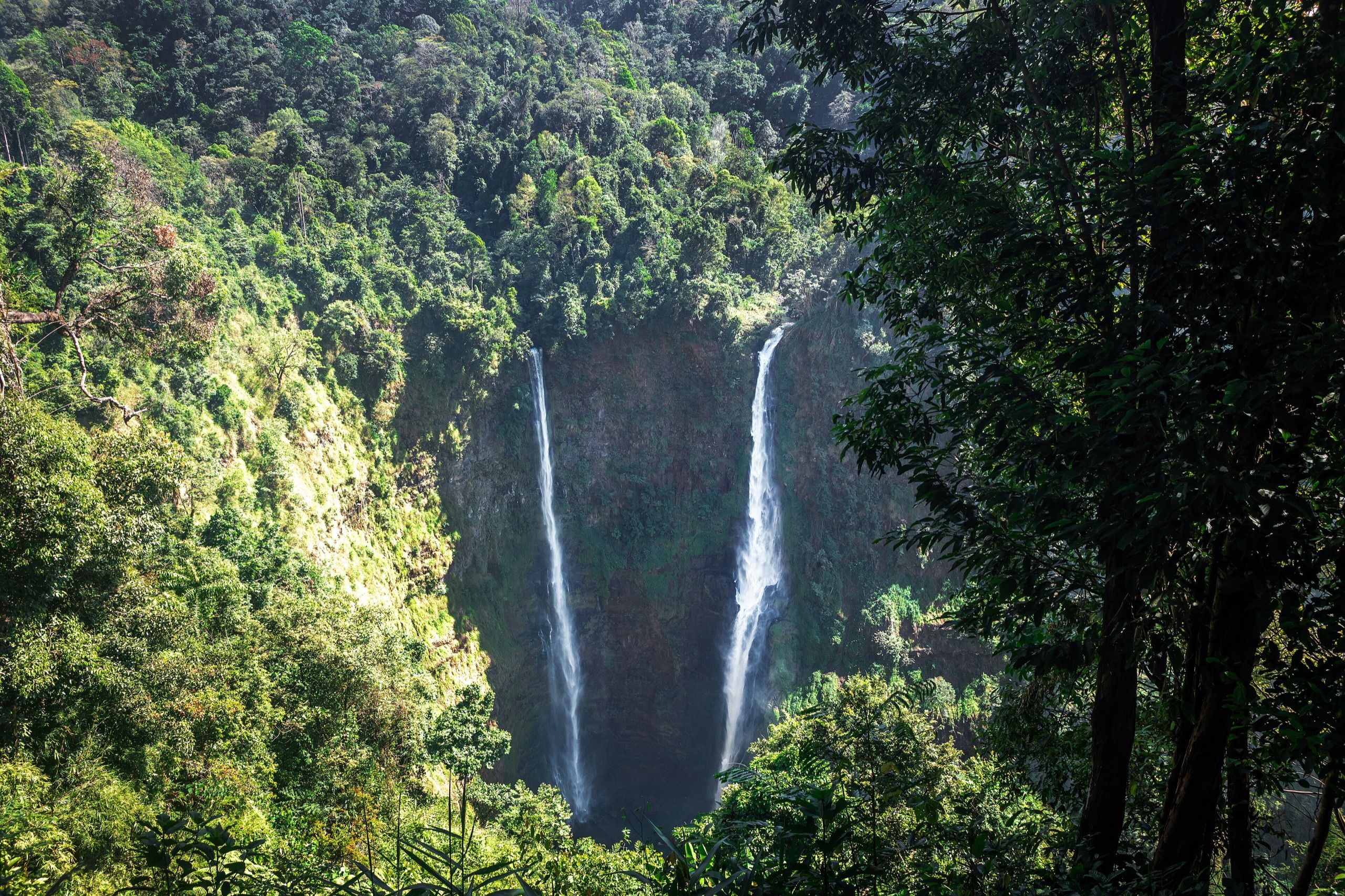 Les deux chutes de Tad Fane au fond d'une gorge boisée, sur le plateau des Bolavens