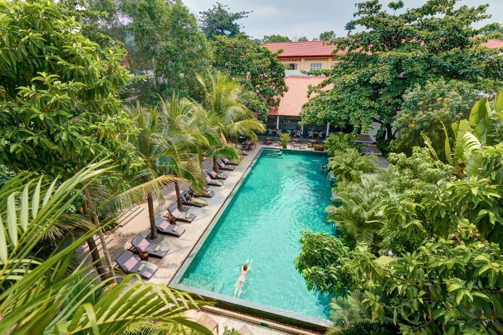 The long pool at the Plantation between palm trees and loungers, seen from above