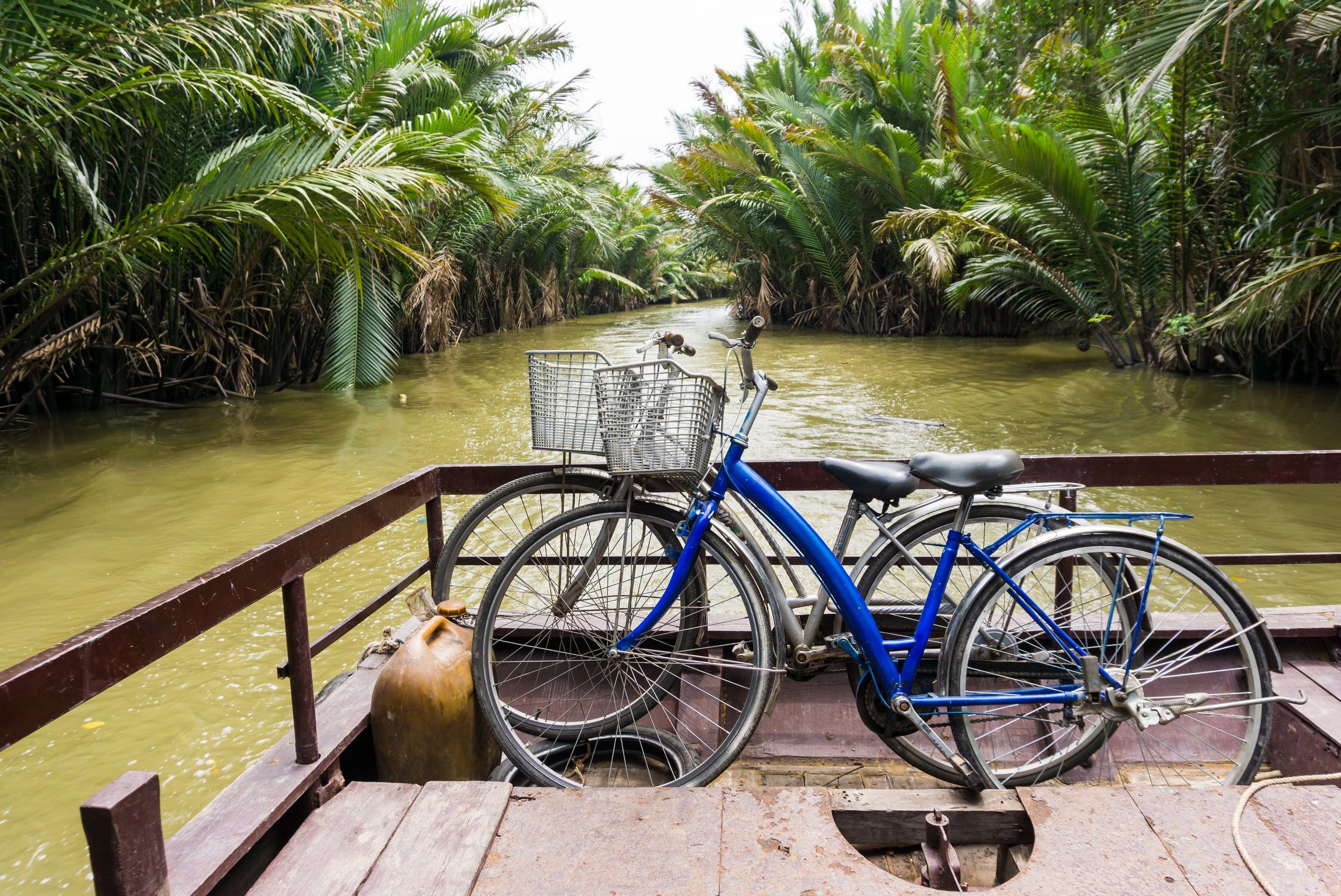 Two bicycles on the bow of a boat, on a canal lined with nipa palms in the Mekong Delta