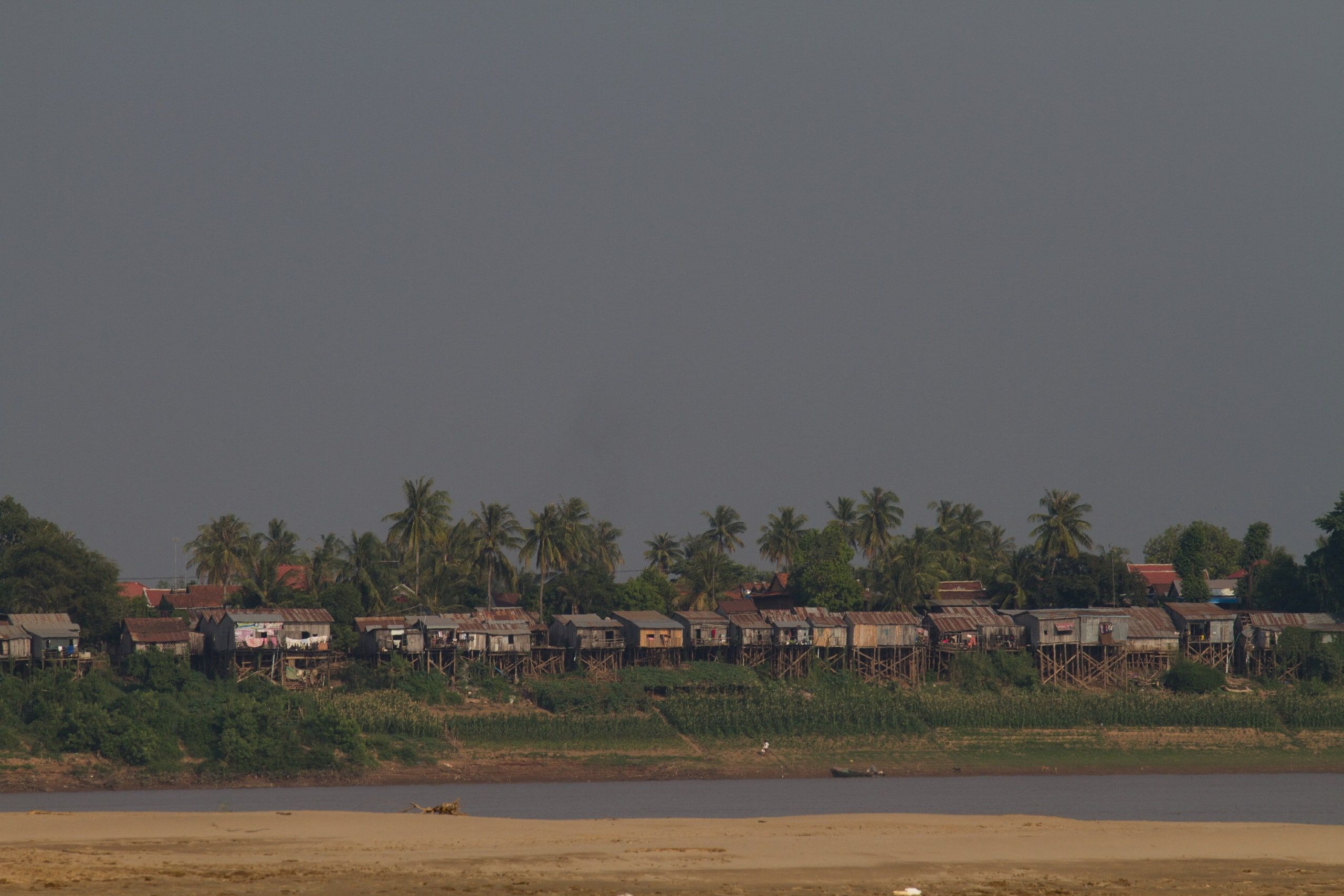 Les maisons de Stung Treng alignées sous les palmiers, au-dessus d'une berge de sable