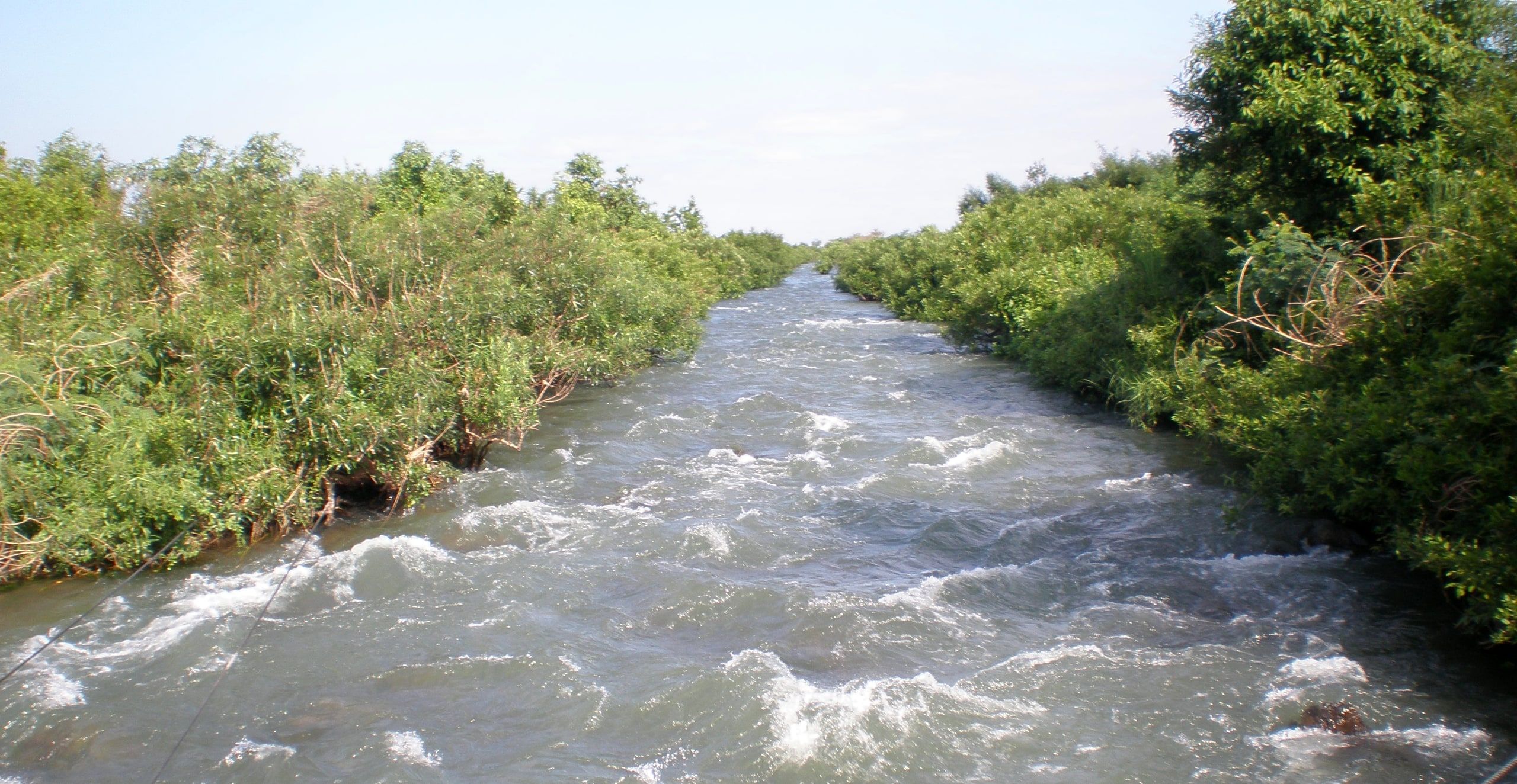Un bras du Mékong en rapides entre des îles boisées, dans la province de Stung Treng