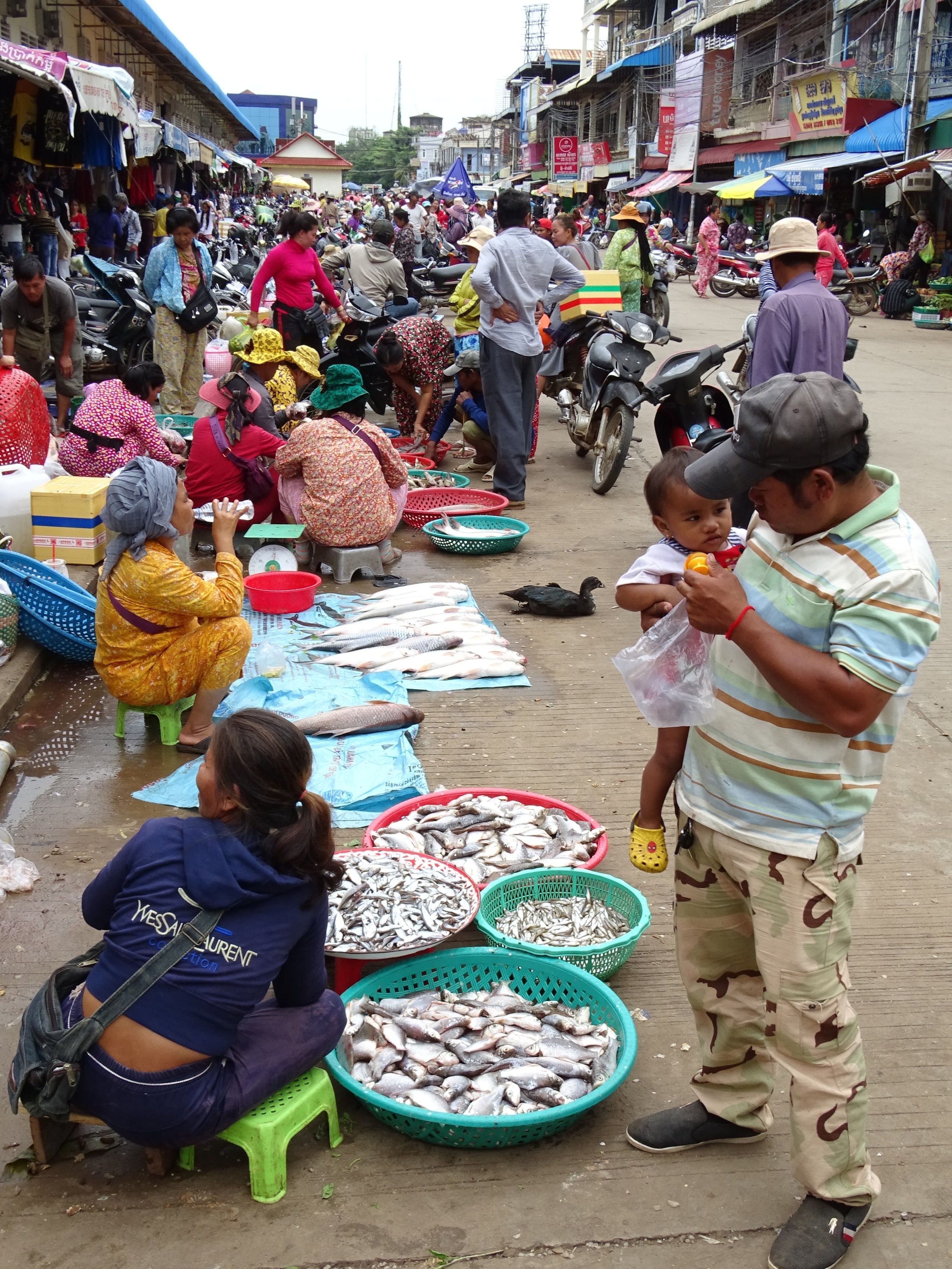 Des marchandes de poisson accroupies au marché de Stung Treng
