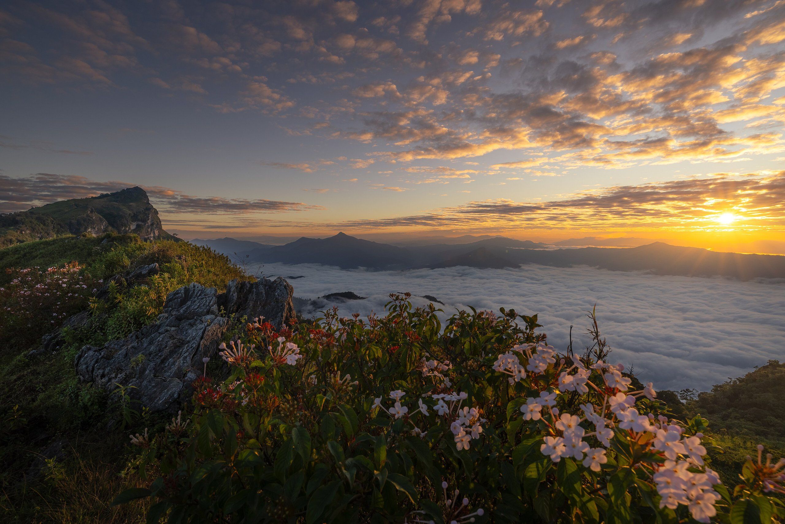 The Phu Chi Fa cliff above a sea of mist at sunrise