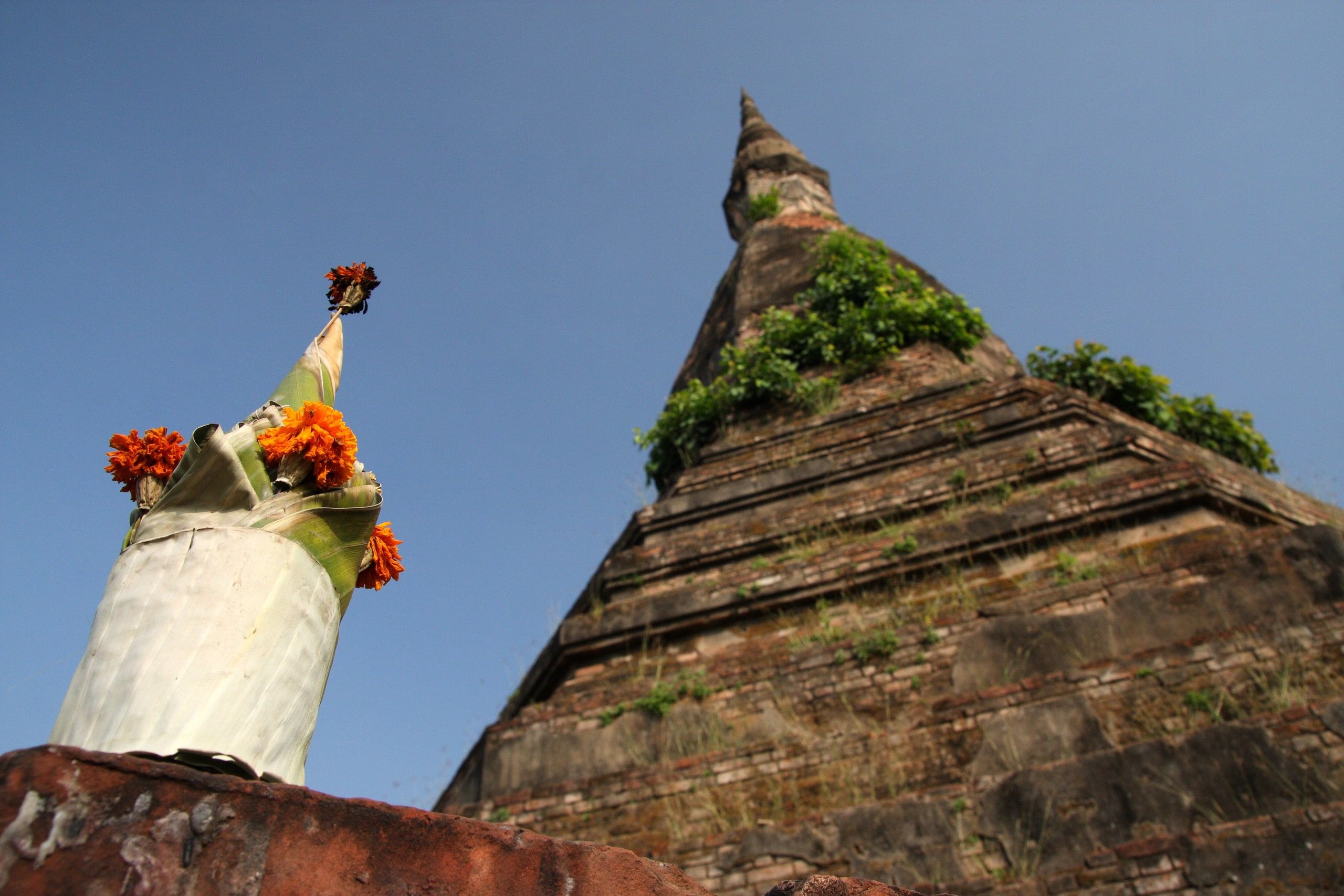 Le That Dam, stupa noir couvert de végétation, à côté d'un autel fleuri