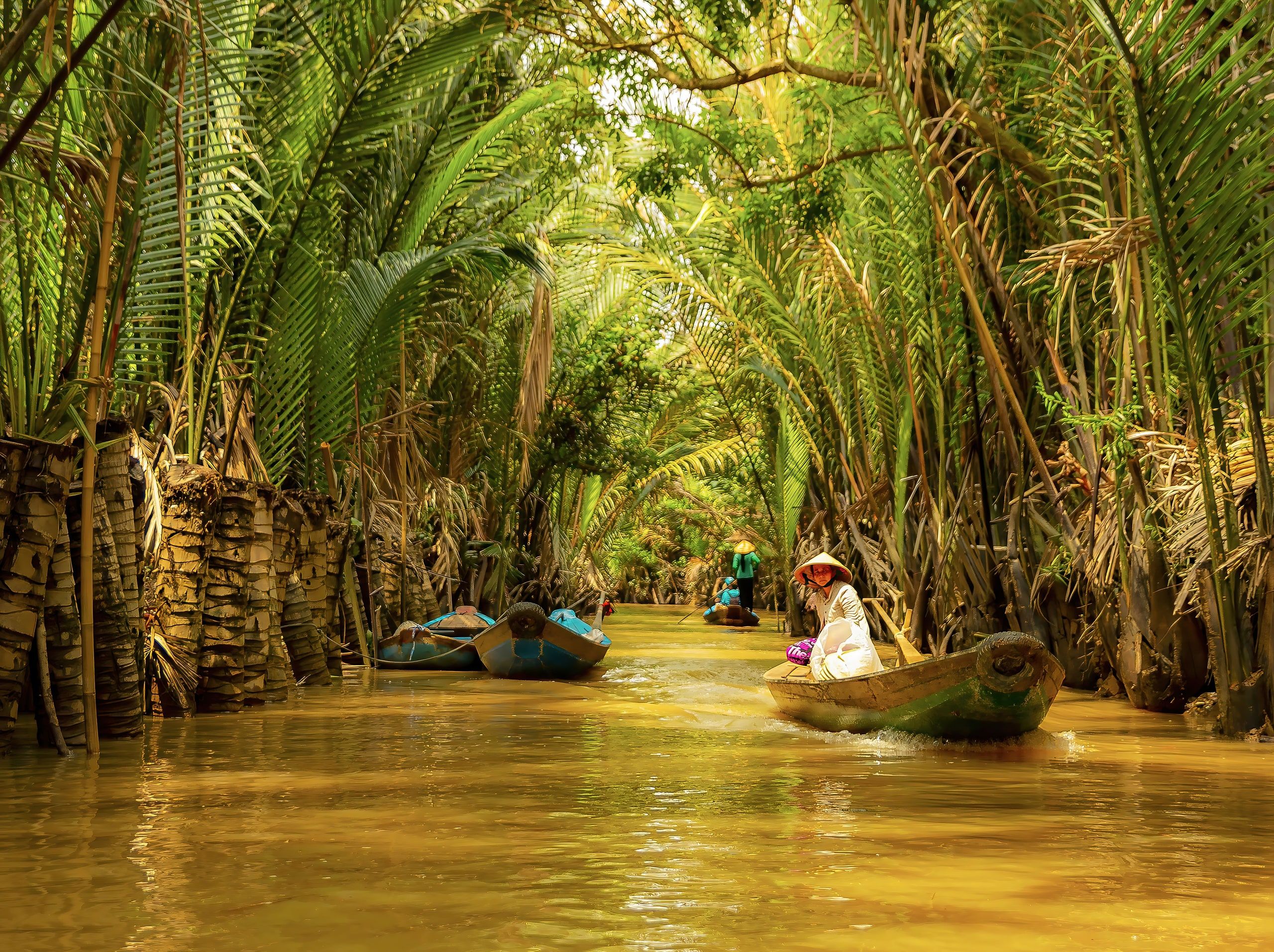 A woman in a conical hat rowing a wooden boat along a brown-water canal lined with water palms, other boats moored on the bank