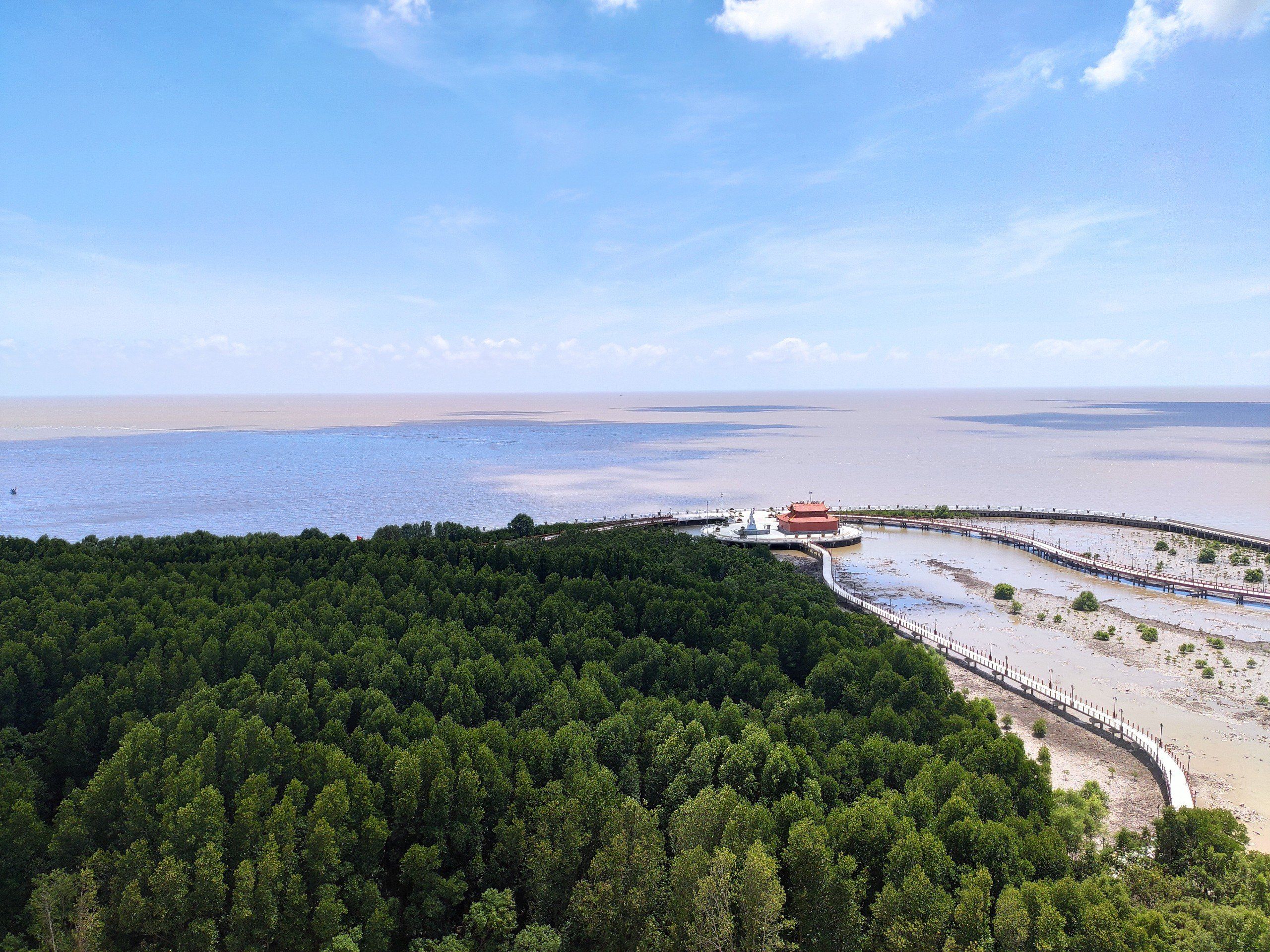 The mangroves of Cape Ca Mau and the walkway out to sea, from the air